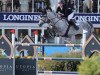 jumper Conthargo PS (Oldenburg show jumper, 2016, from Conthargos)