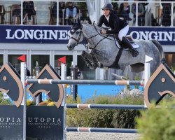 jumper Conthargo PS (Oldenburg show jumper, 2016, from Conthargos)