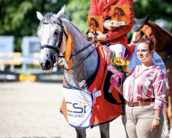 Springpferd Ok Lazar (Oldenburger, 2016, von Malito de Reve)