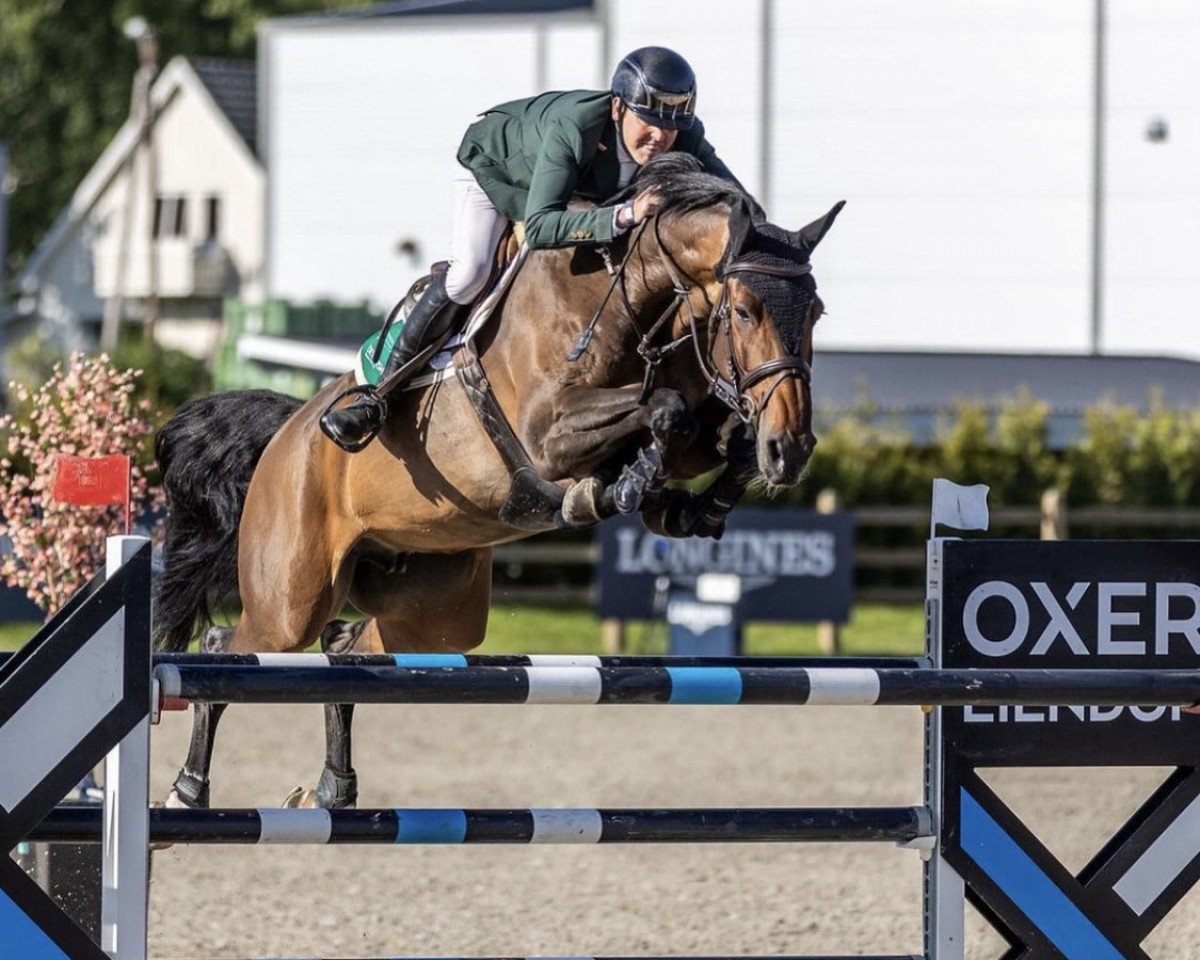 broodmare Uriga VA (Holsteiner, 2014, from Uriko)