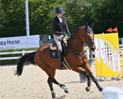 jumper Eastcoast 5 (German Sport Horse, 2017, from Eldorado vd Zeshoek Tn)