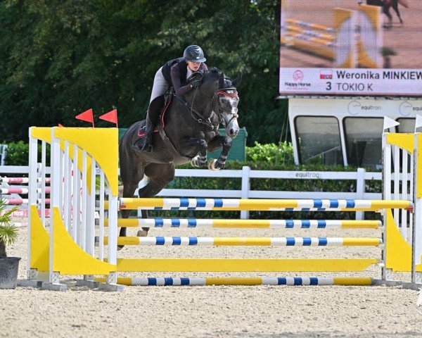 jumper Tokio K Z (Zangersheide riding horse, 2019, from Taloubet Z)