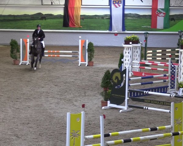Reitturnier Legden 2024