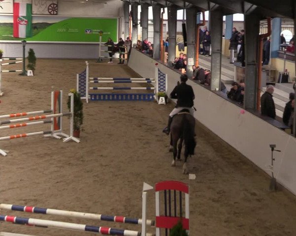 Reitturnier Legden 2024
