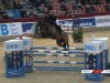 jumper Kiss Me Fj (Croatian Warmblood, 2017, from Kannan)