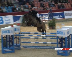 jumper Kiss Me Fj (Croatian Warmblood, 2017, from Kannan)