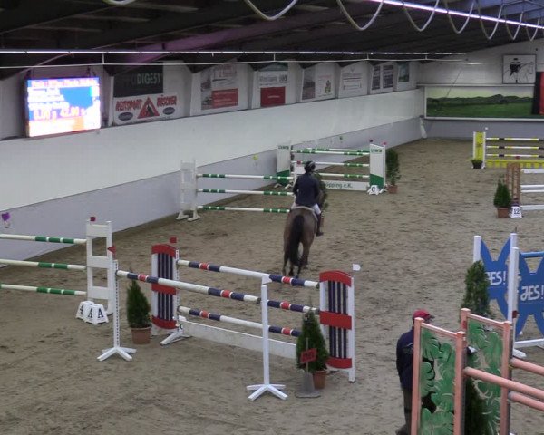 Reitturnier Legden 2024