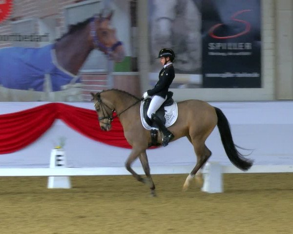 Reitturnier Borken 2024