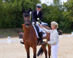 dressage horse Bella's Louis Vuitton (Oldenburg, 2019, from Callaho's Benicio)