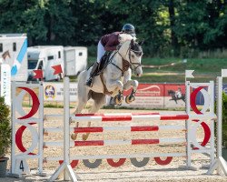 jumper Cataleya E (Deutsches Sportpferd, 2017, from Chacoon Blue)