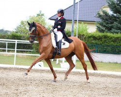 dressage horse My Romanov's Princess (KWPN (Royal Dutch Sporthorse), 2010, from Glock's Romanov)