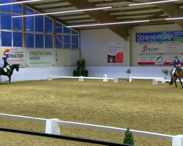 Reitturnier Borken 2024