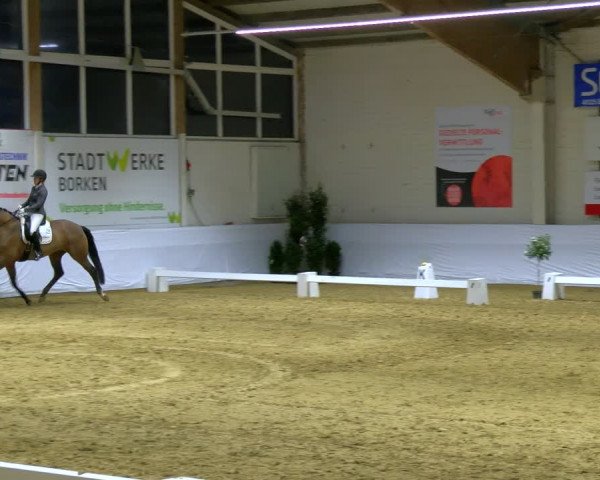 Reitturnier Borken 2024