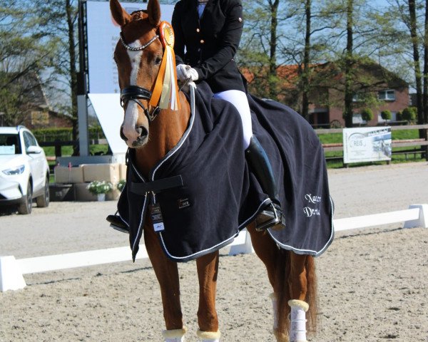 Dressurpferd Oliviera 3 (Koninklijk Warmbloed Paardenstamboek Nederland (KWPN), 2019, von Sezuan's Donnerhall)