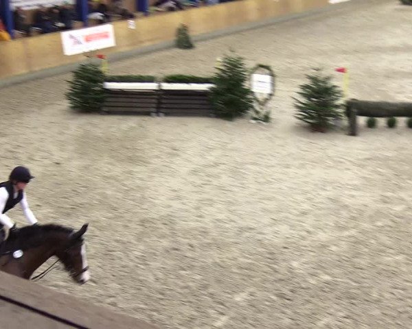 Reitturnier Großenwiehe 2024