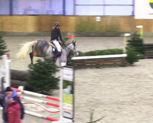 Reitturnier Großenwiehe 2024