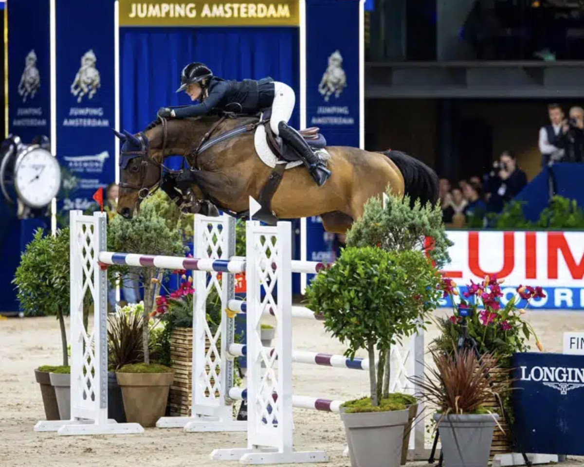 stallion Equus Tame (Selle Français, 2014, from Qlassic Bois Margot)
