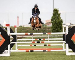 broodmare Jabiola (KWPN (Royal Dutch Sporthorse), 2014, from Emerald van 't Ruytershof)