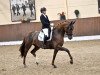 dressage horse Totilas Erbin (Hanoverian, 2017, from Top Gear)