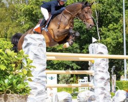 jumper Iganis (KWPN (Royal Dutch Sporthorse), 2013, from Numero Uno)