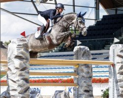 jumper Jafanola (KWPN (Royal Dutch Sporthorse), 2014, from Casimo)