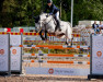 jumper Goanita (KWPN (Royal Dutch Sporthorse), 2011, from Zandor Z)