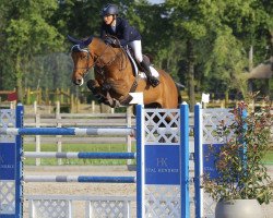 jumper Gogolinus (KWPN (Royal Dutch Sporthorse), 2011, from VDL Sheraton)