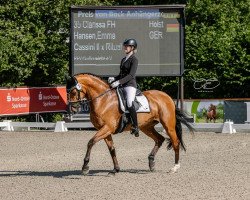 dressage horse Clarissa FH (Holsteiner, 2010, from Cassini II)