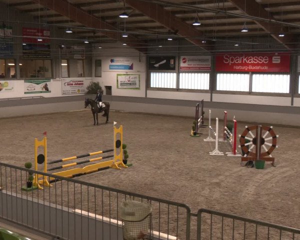Reitturnier Luhmühlen 2024