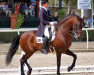 stallion Rubi (Lusitano, 1998, from Batial)