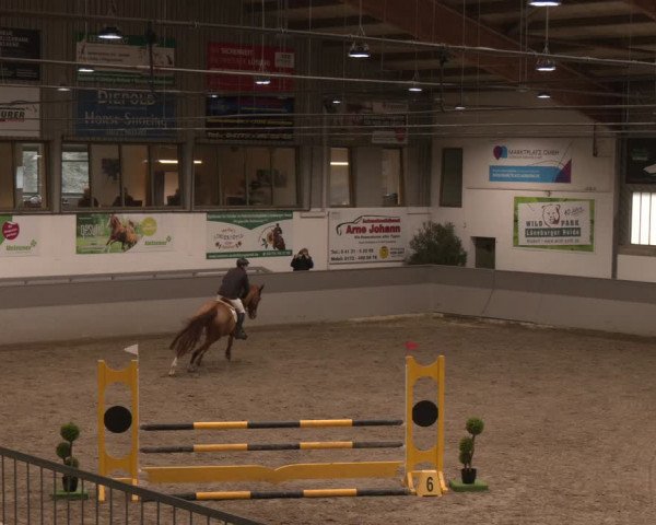 Reitturnier Luhmühlen 2024
