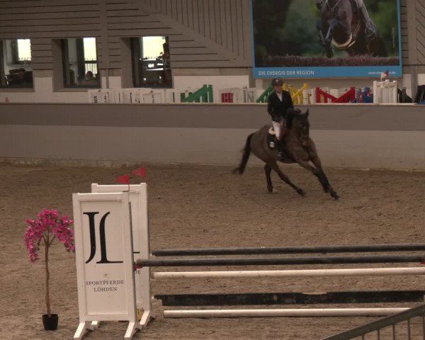 Reitturnier Luhmühlen 2024
