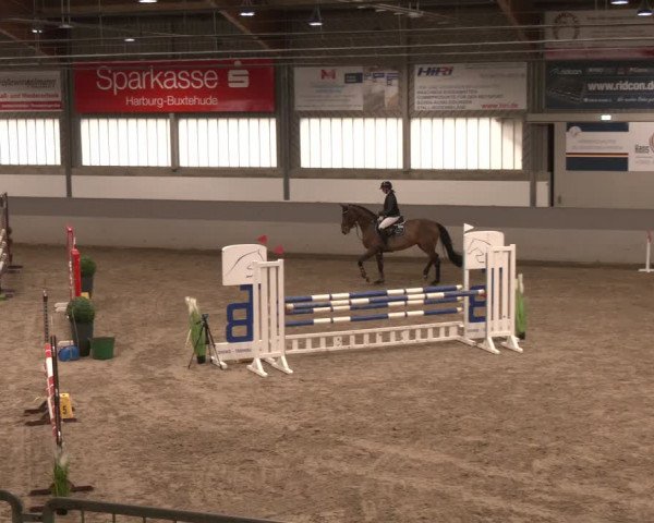 Reitturnier Luhmühlen 2024