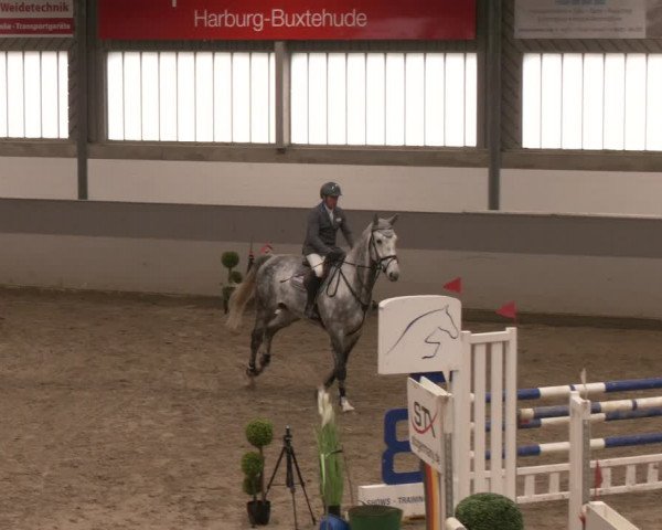 Reitturnier Luhmühlen 2024