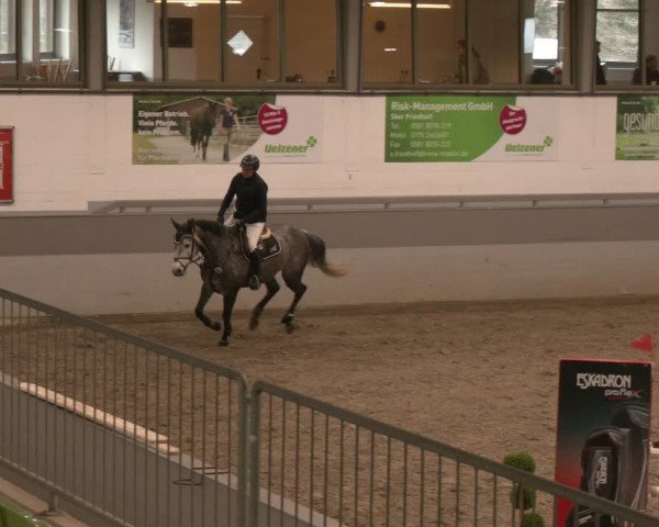 Reitturnier Luhmühlen 2024