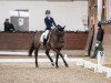 dressage horse Ibuco van het Louwelsbroek (Belgian Warmblood, 2008, from Blue Boy van Berkenbroeck)