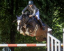 jumper Boris Little Princess (Oldenburg show jumper, 2016, from Cascadello)