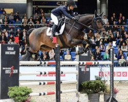 jumper Zinzino (Estonian Sport, 2012, from Zambesi TN)