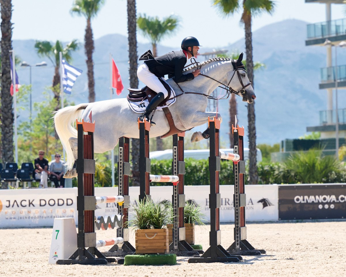 Springpferd Ali Baba Ht (Spanisches Sportpferd, 2013, von Dublin van Overis)