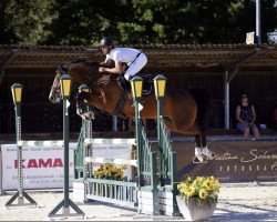 jumper Hello Ella (Oldenburg show jumper, 2015, from Balou du Rouet)