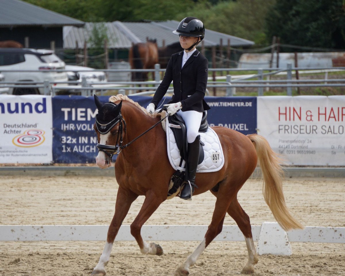 dressage horse Lenteblom's Pleasure (Welsh-Pony (Section B), 2008, from Linde Hoeve's Optimist)