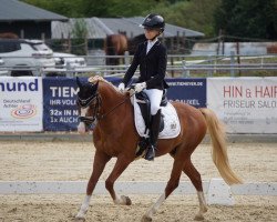 Dressurpferd Lenteblom's Pleasure (Welsh Pony (Sek.B), 2008, von Linde Hoeve's Optimist)