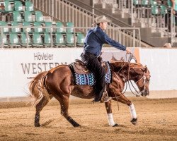 stallion IM a Rough Boy (Quarter Horse, 2016, from Smart Chic Olena)