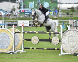 jumper Didam 2 (KWPN (Royal Dutch Sporthorse), 2008, from VDL Cardento 933)