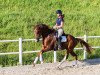 dressage horse Zimsalabim 11 (Oldenburg, 2019, from Zoom 8)