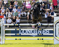 broodmare Morfine de Muze (Belgian Warmblood, 2012, from Elvis Ter Putte)