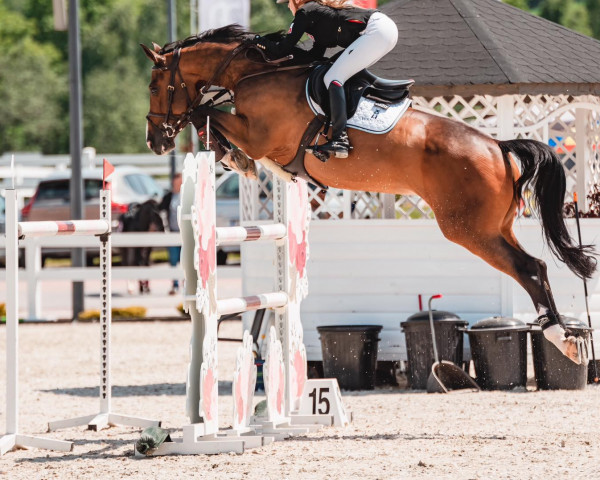 Springpferd Unica-K (Polnisches Warmblut, 2015, von Stakkato Gold)