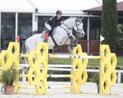 jumper Jornian Blue F (KWPN (Royal Dutch Sporthorse), 2014, from Zirocco Blue)