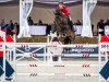 broodmare Diamanta Baloubet (Oldenburg show jumper, 2015, from Oak Grove's Darshan)