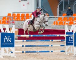 Pferd Marika (Polnisches Warmblut, 2010, von Cantanis)